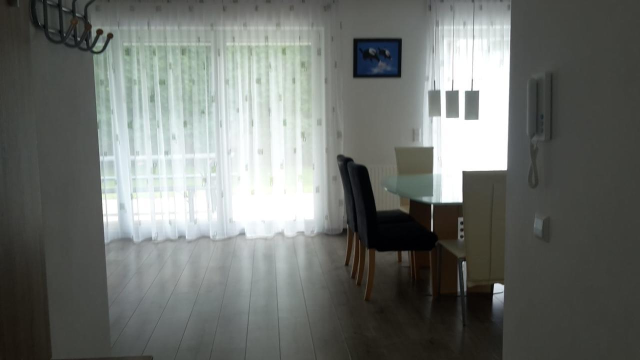 Ferienwohnung Hess 金茨堡 外观 照片
